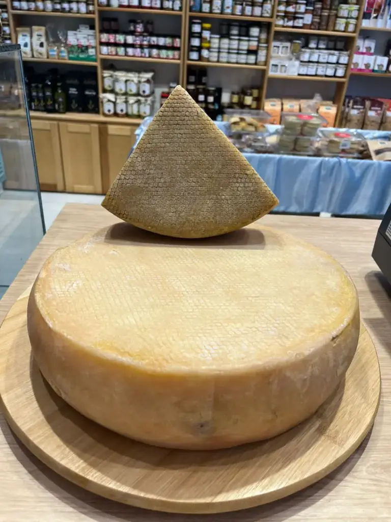 Tamgout Vacherin
